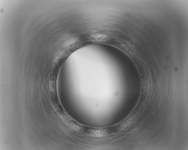 X0000055990755200508261724