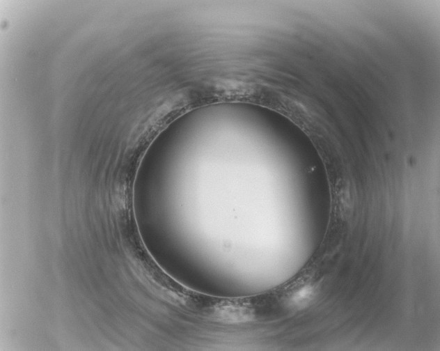 X0000055990756200508261724