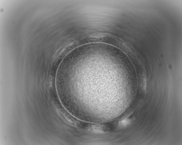 X0000055990758200508261724