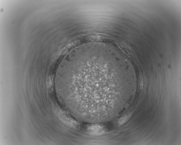 X0000055990759200508261724