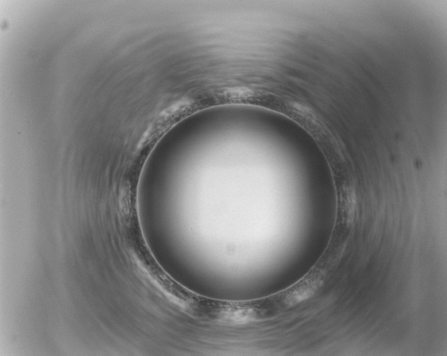 X0000055990760200508261724