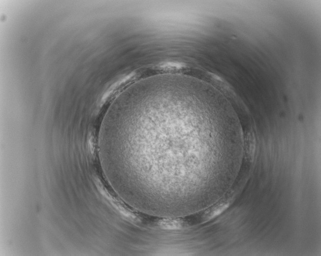 X0000055990762200508261724