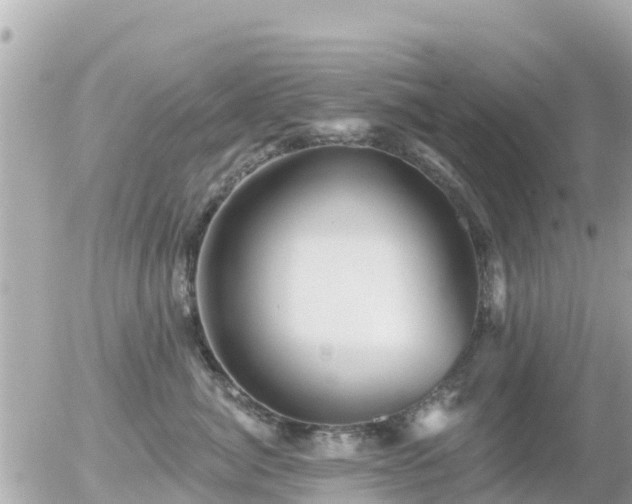 X0000055990764200508261724