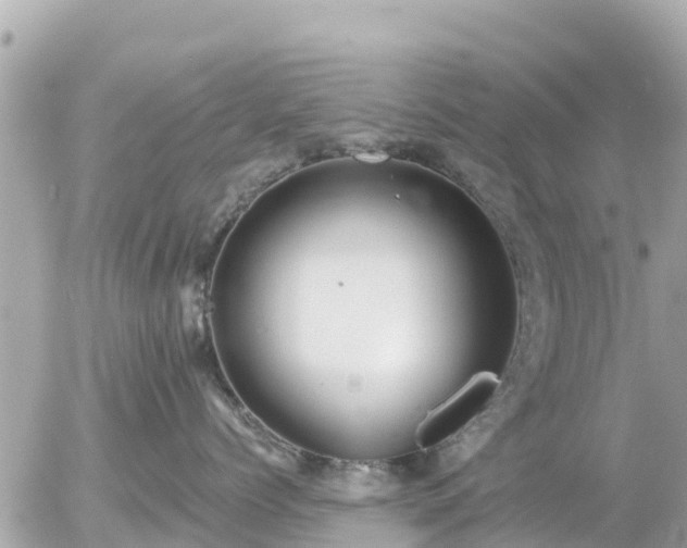 X0000055990768200508261724