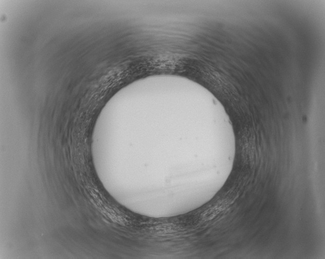 X0000055990769200508261723