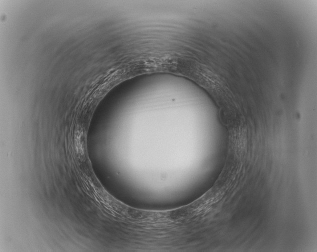 X0000055990770200508261723