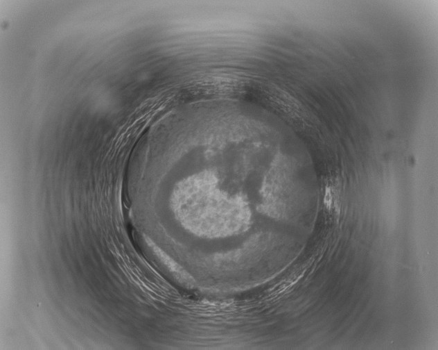 X0000055990771200508261723