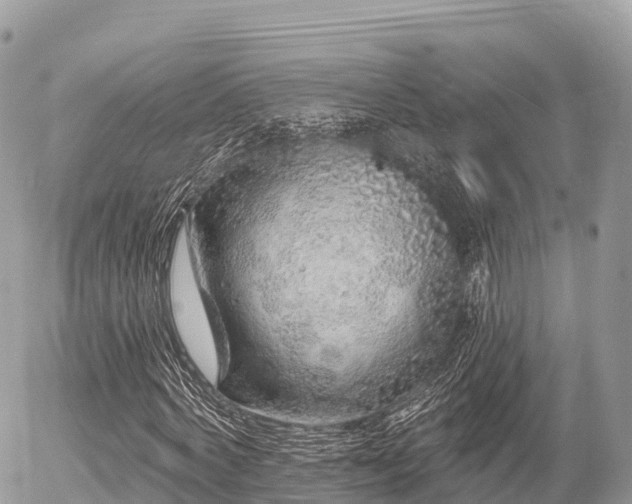 X0000055990772200508261723