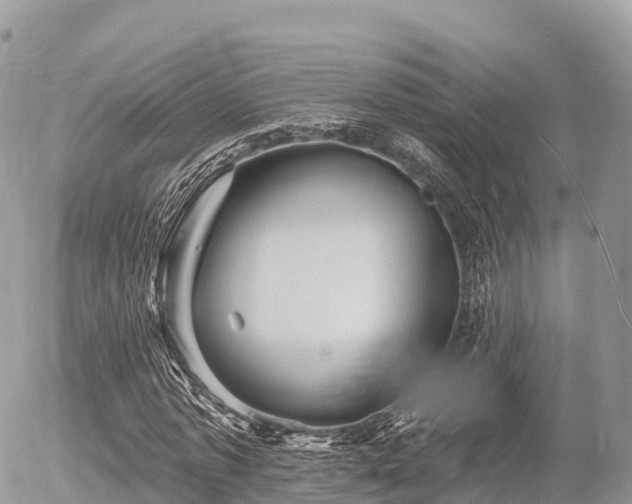 X0000055990773200508261723