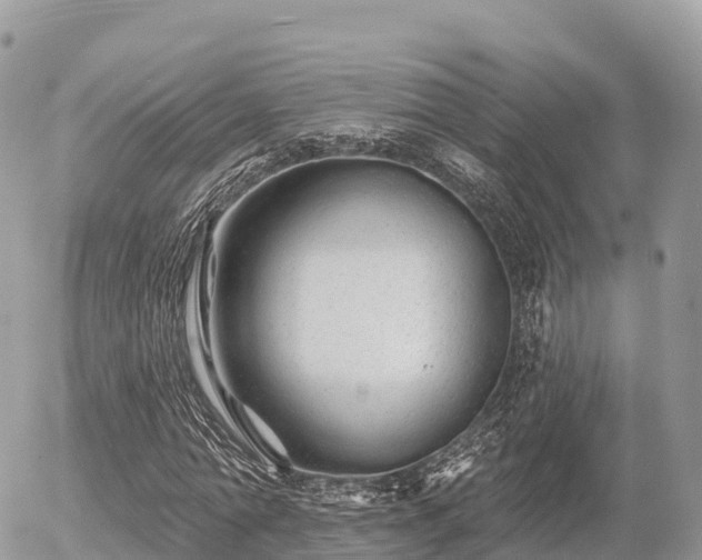 X0000055990774200508261723