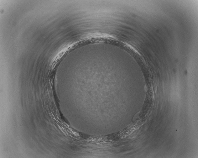 X0000055990775200508261723