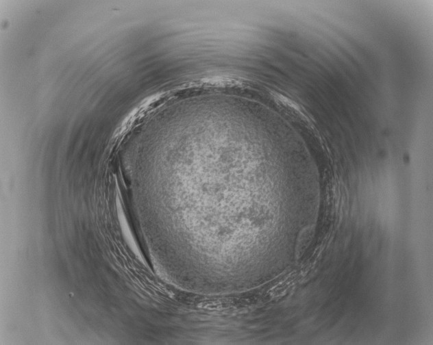 X0000055990776200508261723