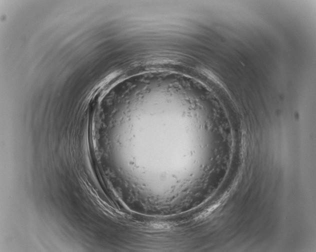 X0000055990777200508261723