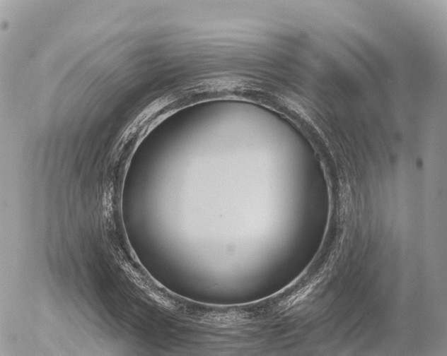 X0000055990778200508261723