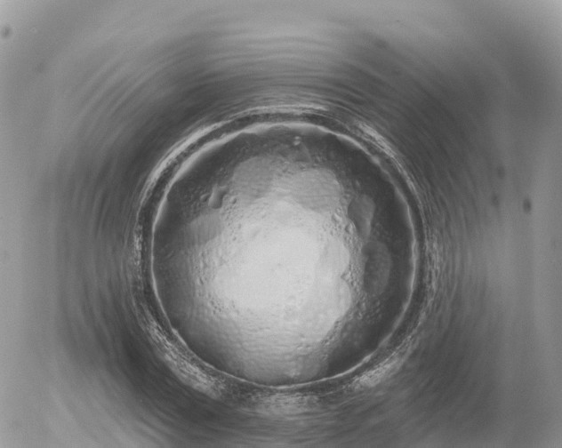 X0000055990779200508261723