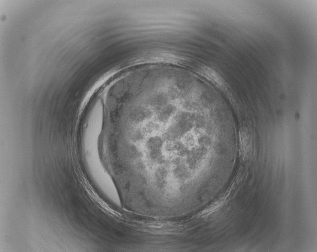 X0000055990780200508261723