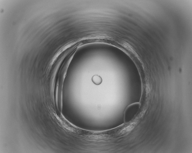 X0000055990781200508261723