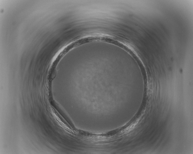 X0000055990783200508261723