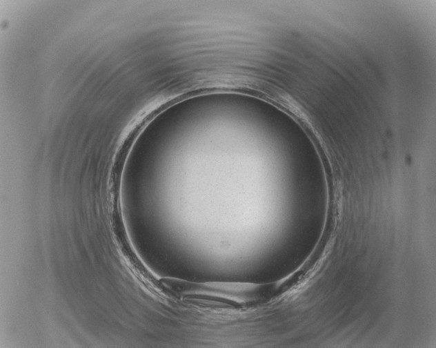 X0000055990787200508261723