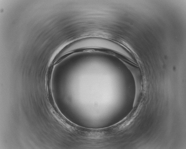 X0000055990788200508261723