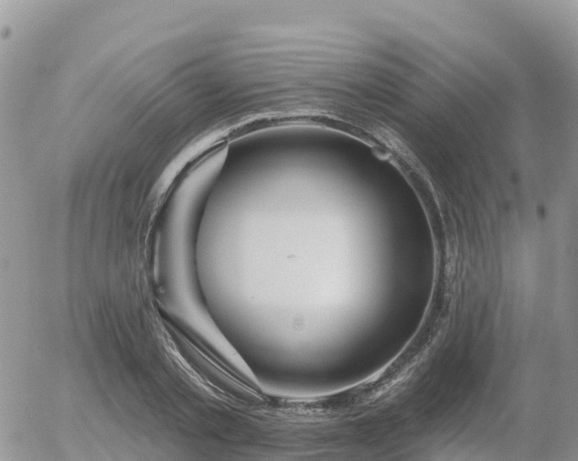 X0000055990789200508261723