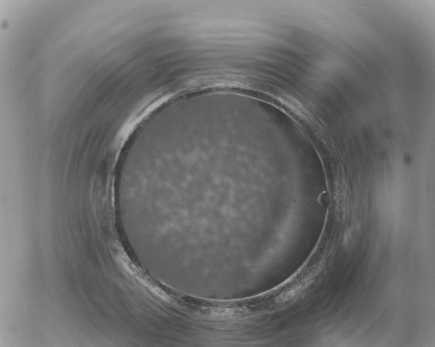 X0000055990790200508261723