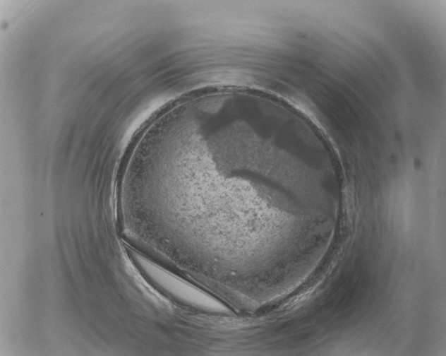 X0000055990791200508261723