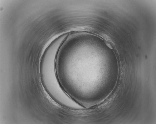 X0000055990792200508261723