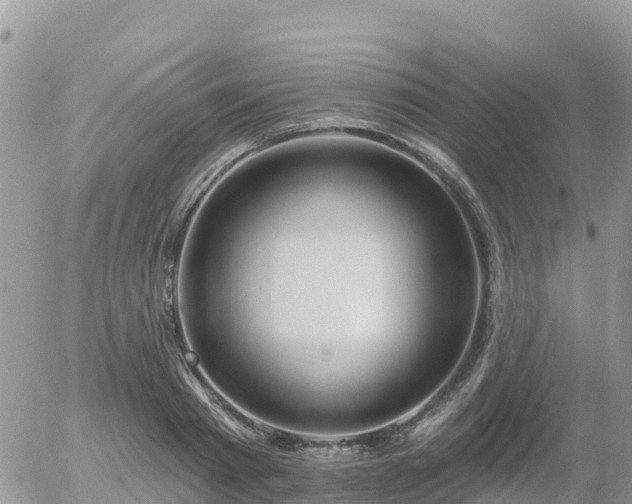 X0000055990793200508261723