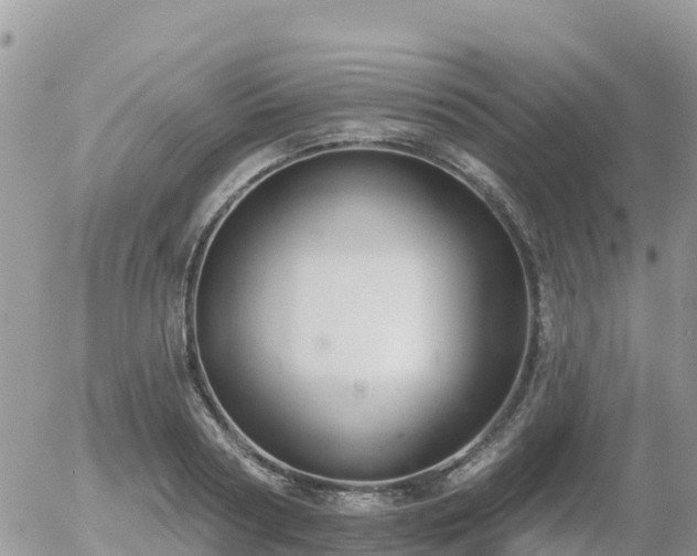 X0000055990794200508261723