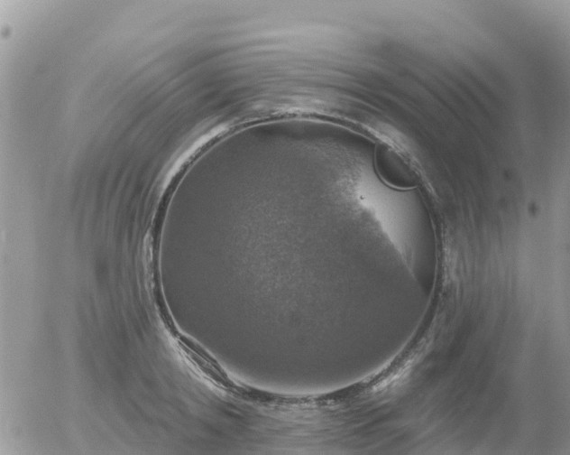 X0000055990798200508261723