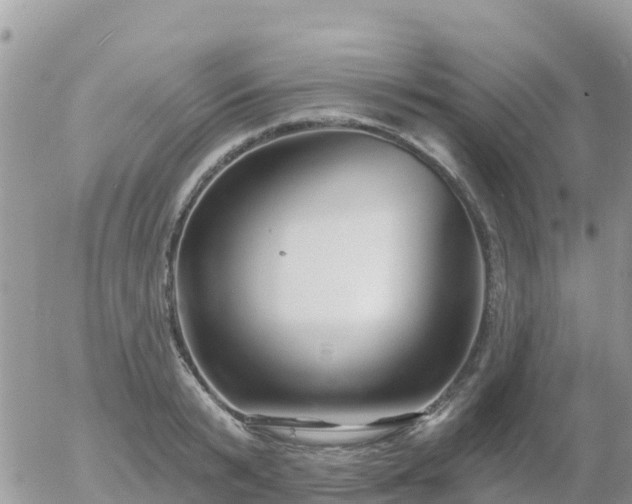 X0000055990799200508261723