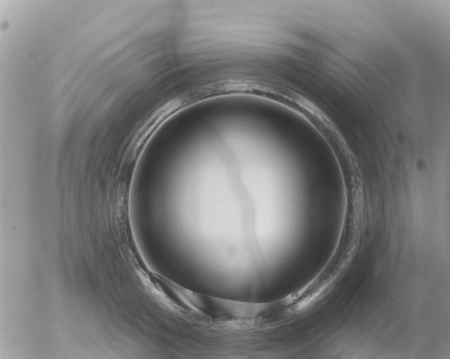 X0000055990801200508261723