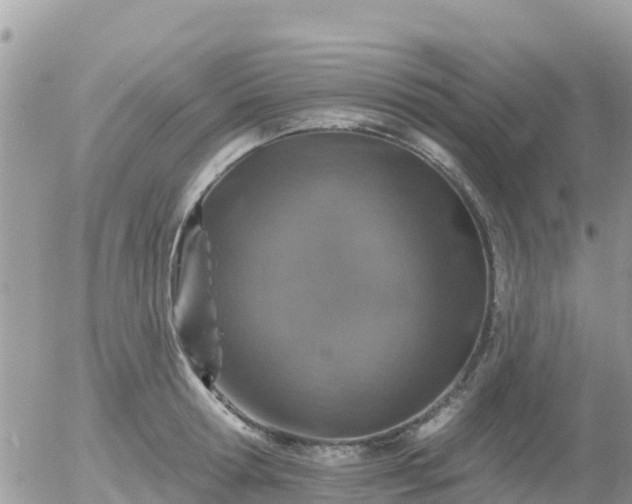 X0000055990802200508261723