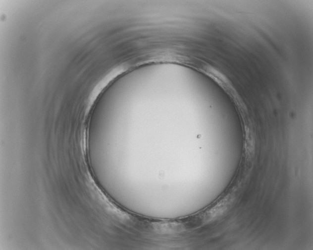 X0000055990804200508261723