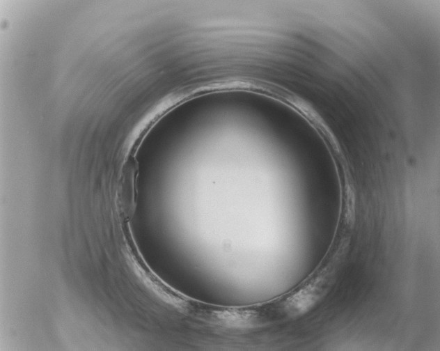 X0000055990805200508261723