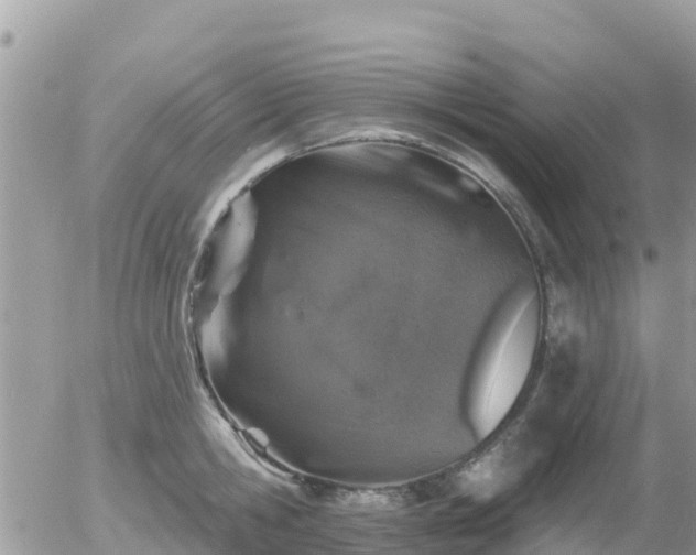 X0000055990806200508261723