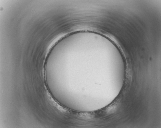 X0000055990807200508261723