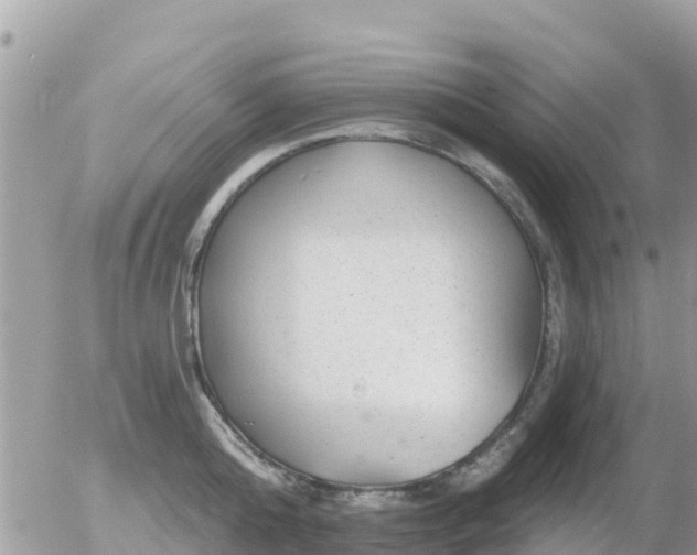 X0000055990808200508261723