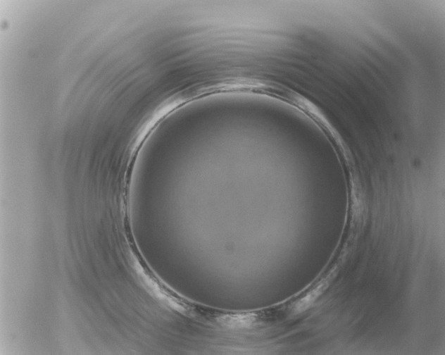 X0000055990810200508261723