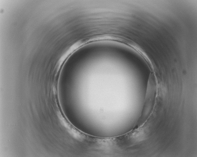 X0000055990813200508261722