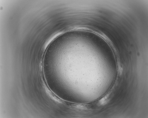 X0000055990814200508261722