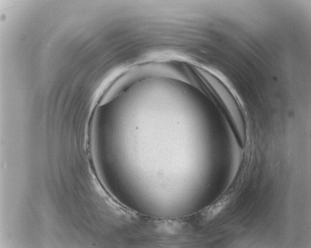 X0000055990815200508261722