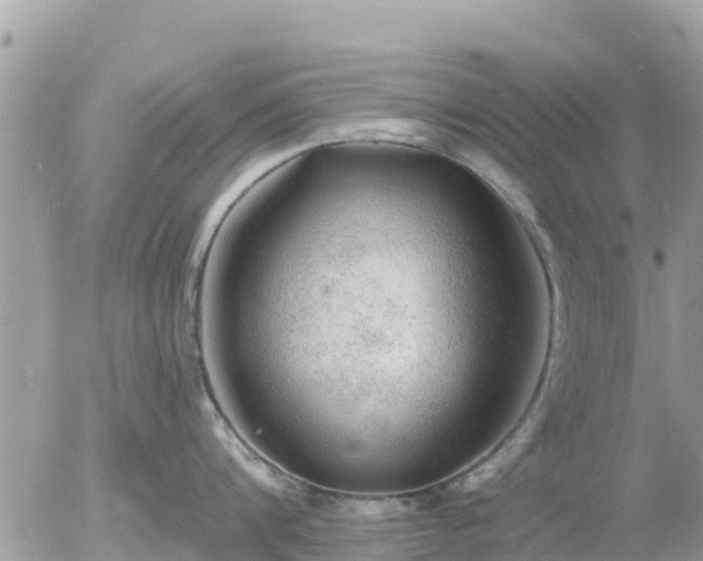 X0000055990816200508261722