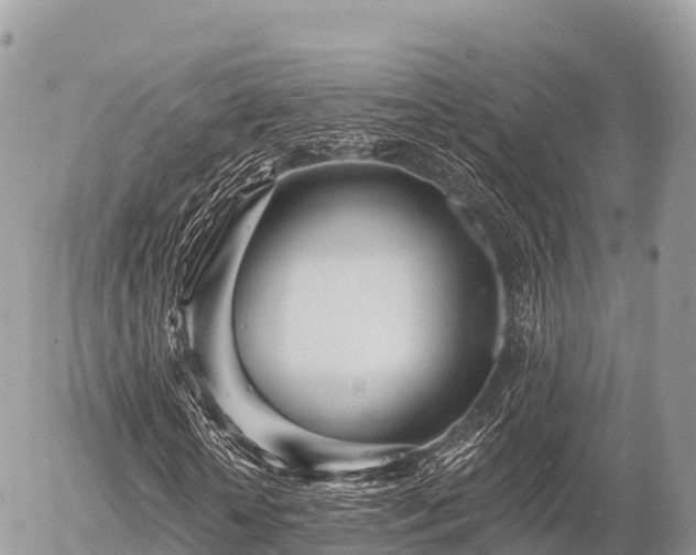 X0000055990818200508261722