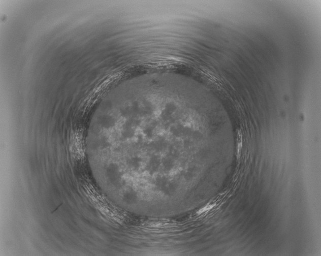 X0000055990819200508261722