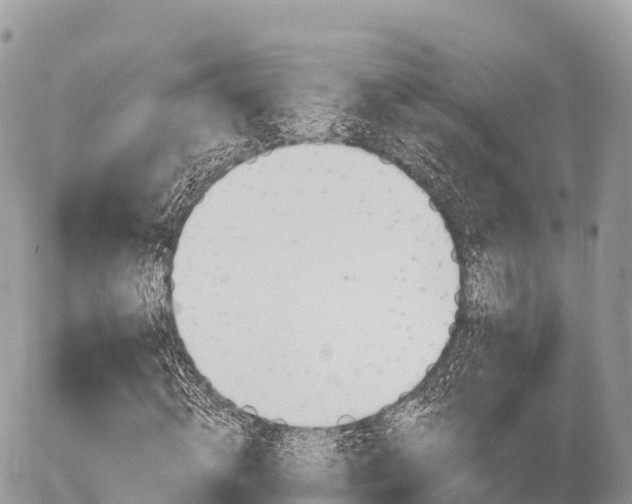 X0000055990820200508261722