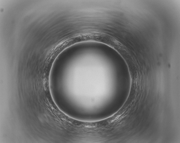 X0000055990822200508261722