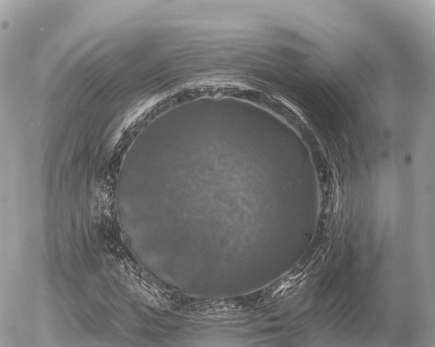 X0000055990823200508261722