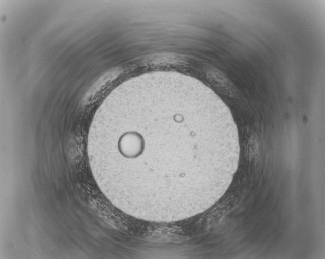 X0000055990824200508261722